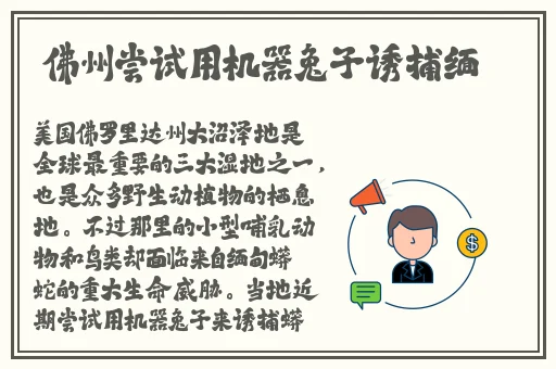 手机看片精品国产福利盒子